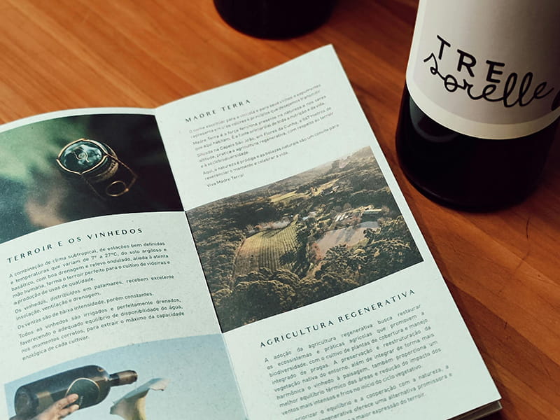 leaflet design trends for 2026